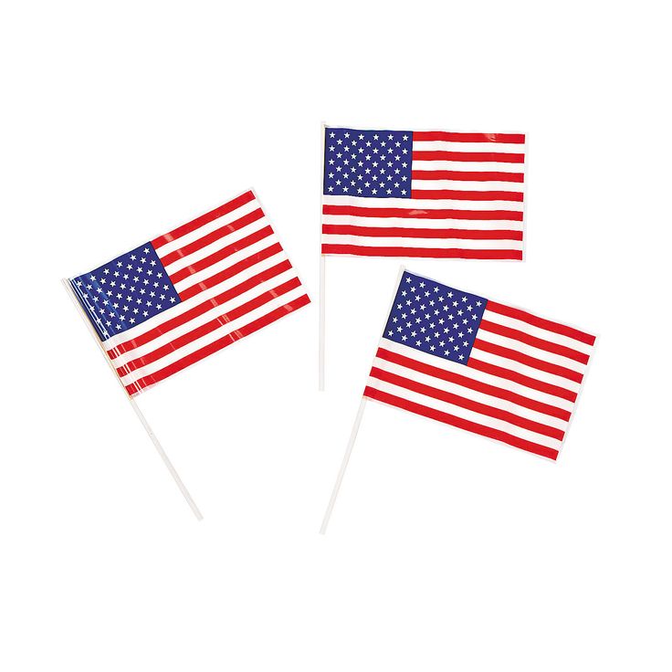 736x736 Best Small American Flags Ideas Small Flags