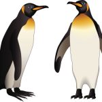 150x150 Penguin Clip Art Valentine Penguin Clipart Animals Clip Art