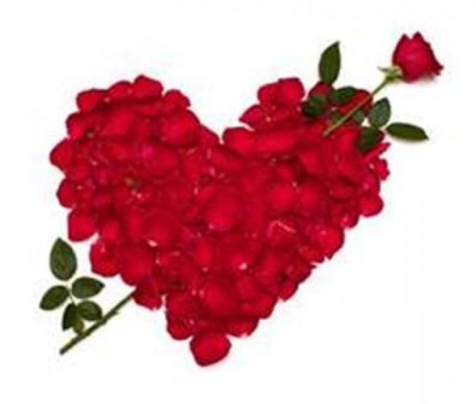 680x576 Here's How Those Valentine's Day Flowers Get From Cupid To Your