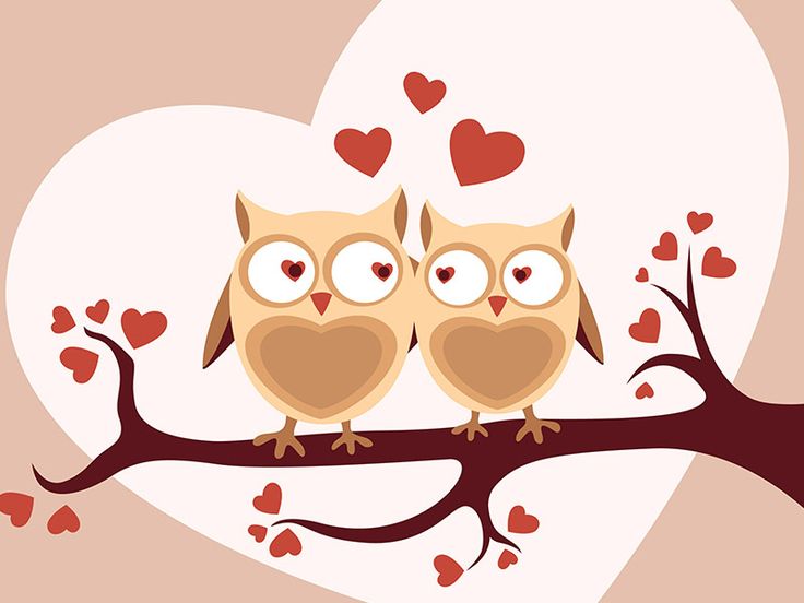 736x552 642 Best Valentines Day Images Valentines Day Jokes