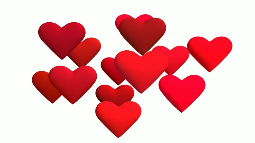 852x480 Red Hearts On White Background Motion Graphic Design. St