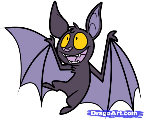 Vampire Bat Pictures