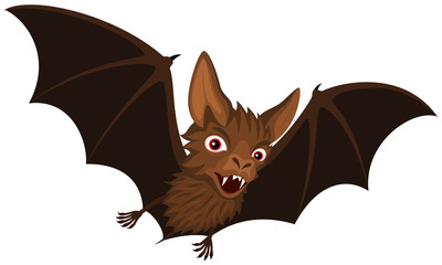 400x240 Search Photos Bat