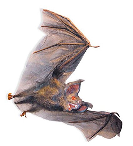 425x467 Hairy Flying Vampire Bat Halloween Decorations