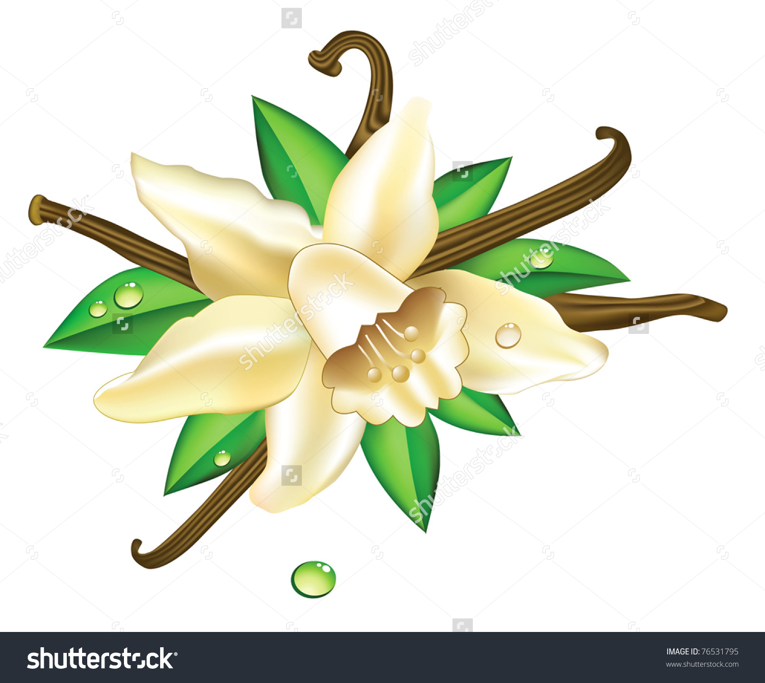 1500x1338 Vanilla Flower Clip Art Clipart