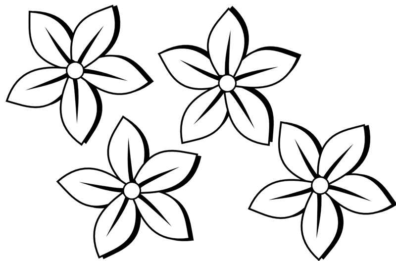 800x527 Flower Clipart Black And White Free