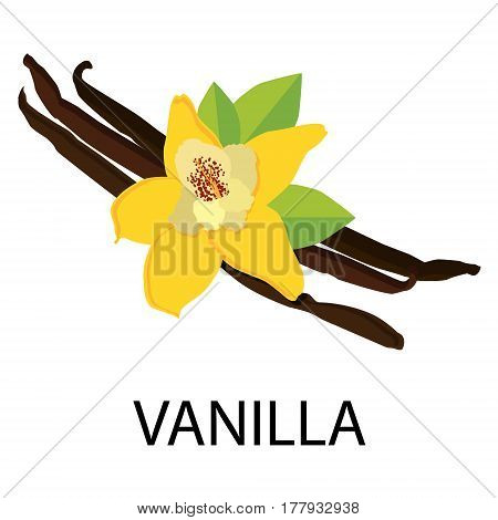 450x470 Vanilla Bean Images, Illustrations, Vectors