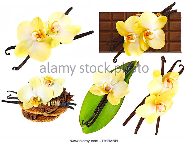 640x491 Vanilla Flower Leaf Stock Photos Amp Vanilla Flower Leaf Stock