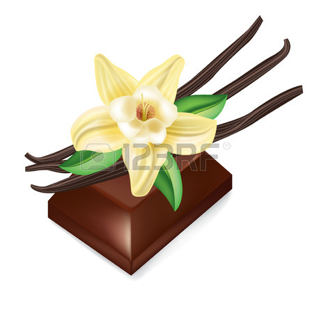 448x450 2,043 Vanilla Flower Stock Vector Illustration And Royalty Free