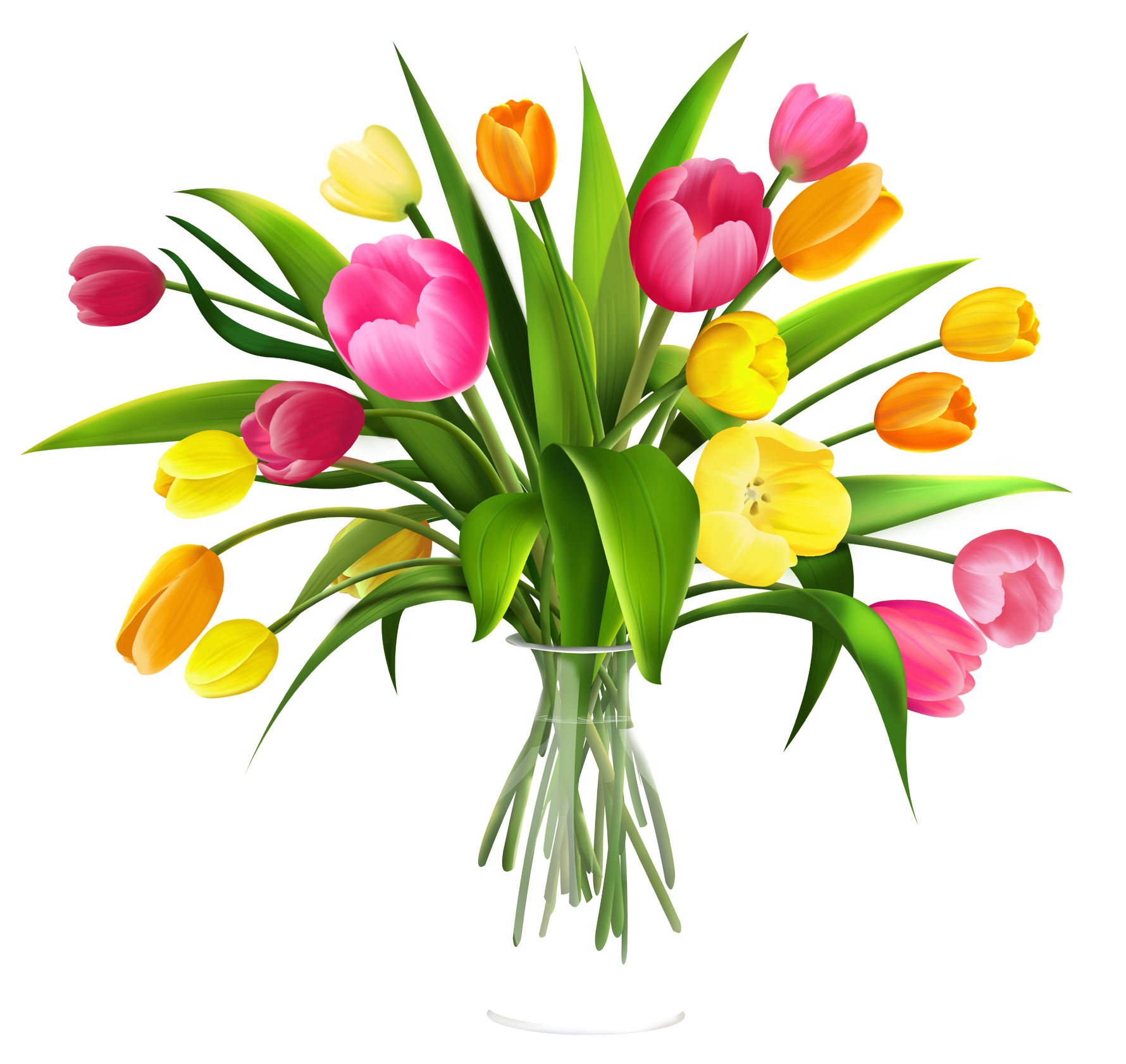 1780x1681 Vase With Tulips Png Clipartu200b Gallery Yopriceville