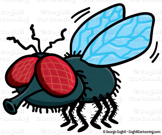 540x449 Clip Art Cartoon Fly Clipart
