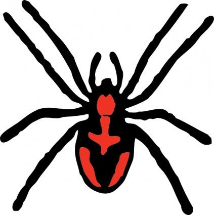 423x425 Clipart Spider