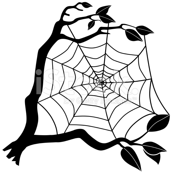 556x556 A Vector Illustration Of A Spider Web With Tree Branch In Black