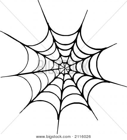 426x470 Spider Web.eps Vector Amp Photo Bigstock
