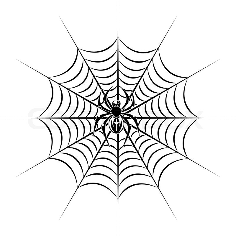 800x800 Spider On Web In Tribal Style For Tattoo Vector Illustration