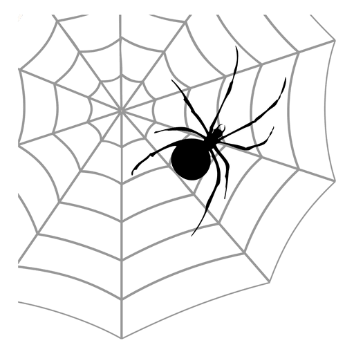 512x512 Spider Web 5