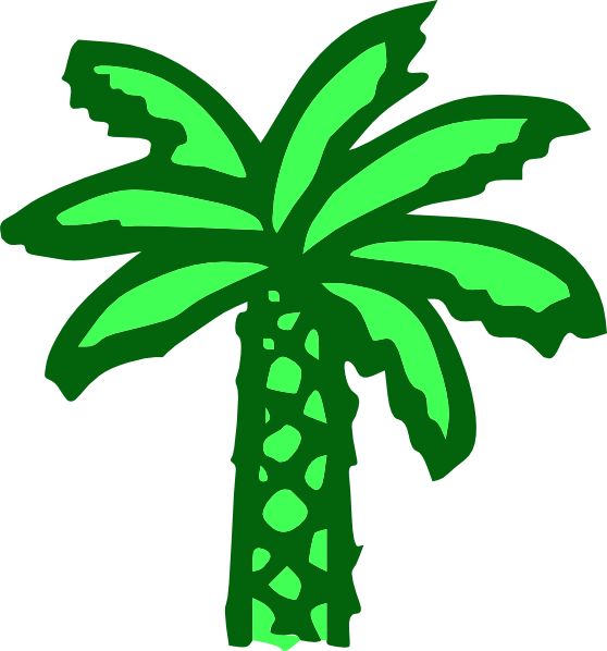 558x598 The Best Palm Tree Clip Art Ideas Palm Tree