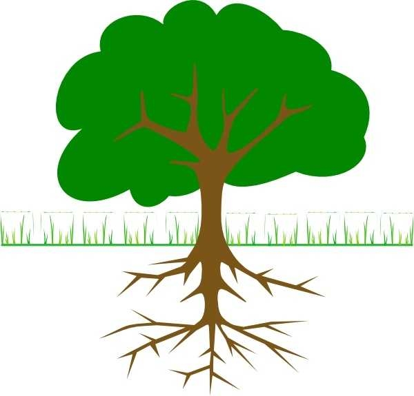 600x575 Tree Branches And Roots Clip Art Free Vector In Open Office