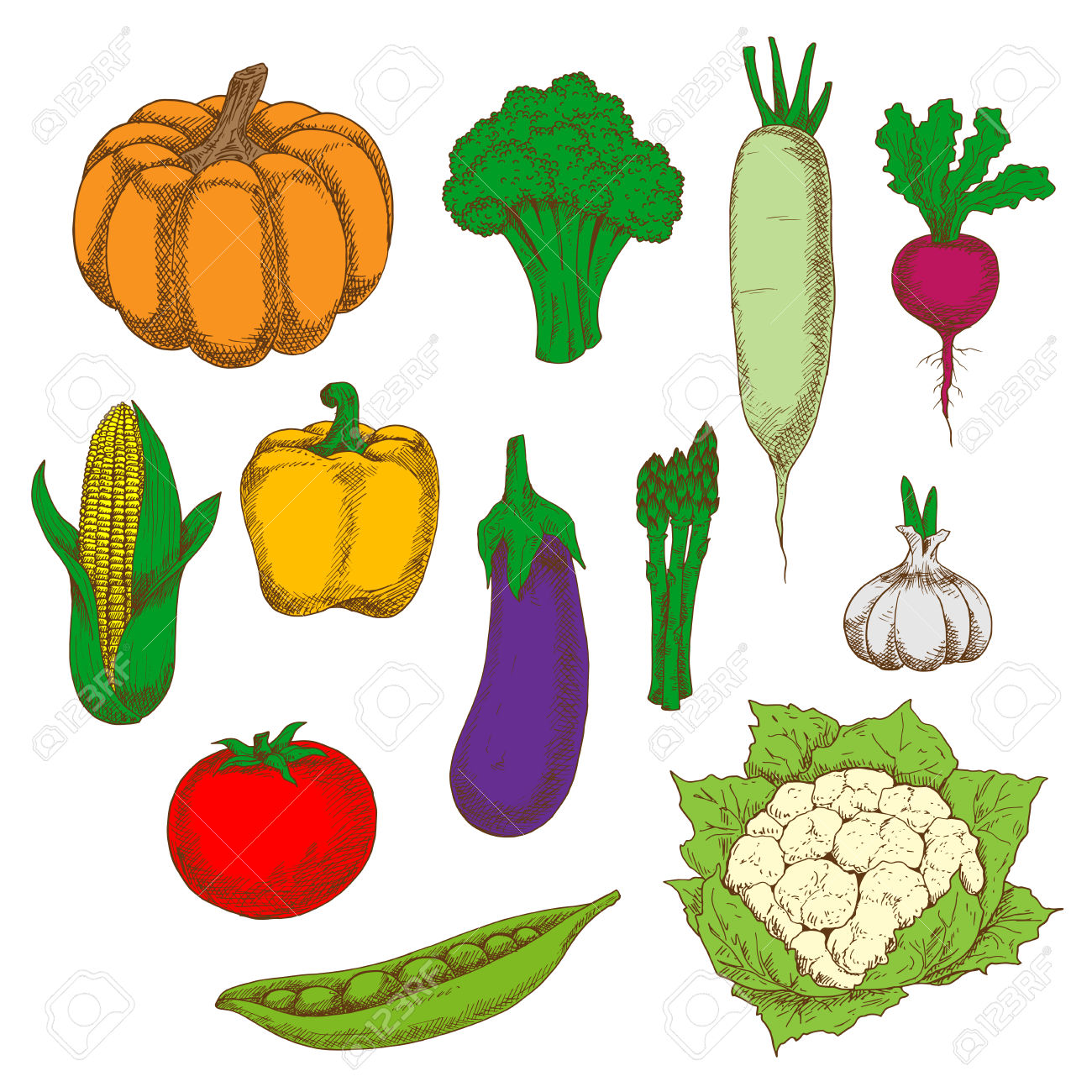 1300x1300 Healthy Eating Broccoli Clipart, Explore Pictures