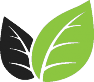 300x264 Veganshift Sustainable Societies For Symbiotic Living For All