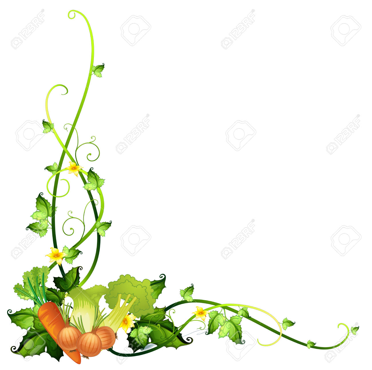1300x1293 Best Vegetable Border