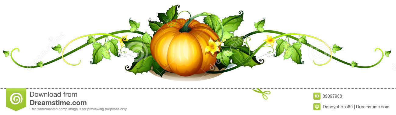 1300x380 Vegetables Clipart Vine