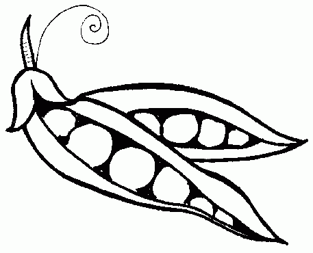 457x370 Vegetable Clipart Black And White Archives