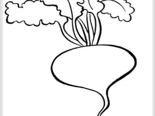 320x240 Amazing Vegetable Coloring Sheets 11 About Remodel Free Coloring