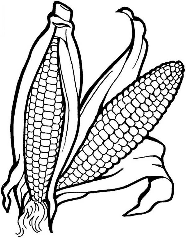 600x770 Vegetable Coloring Pages