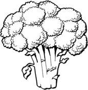 172x176 Vegetables Coloring Pages Free Coloring Pages
