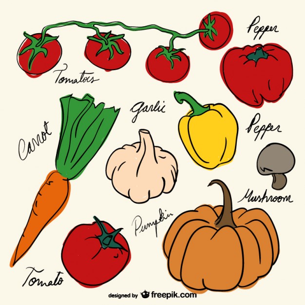 626x626 Vegetables Drawing Decoration Vector Free Download