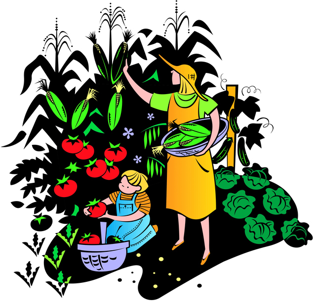 640x619 Vegetable Garden Clipart Free Images 4