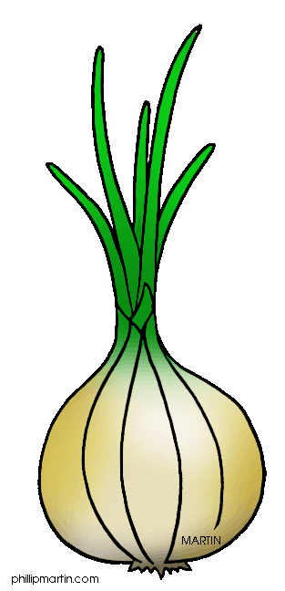 313x648 Onion Png Clipart