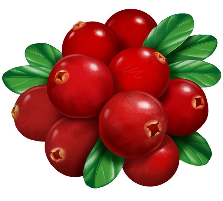 736x662 485 Best Fruit And Vegetables Clip Art Images