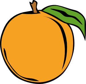 300x295 Fruit Orange Clip Art