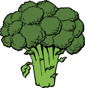 291x299 Broccoli Clip Art