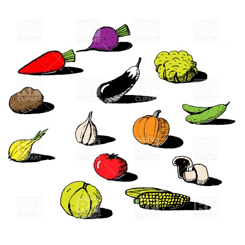 500x500 Vegetables Free Vector Clip Art Image