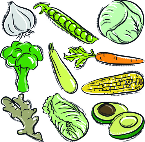 500x492 Vector Food Drawing Vegetable Free Vector Download (93,102 Free