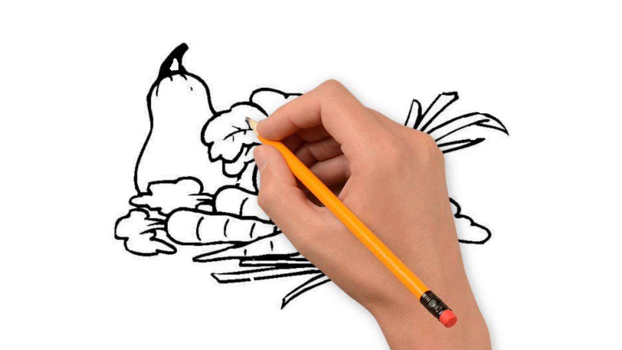 1280x720 Vegetables The Nature Of A Pencil To Draw Step By Step
