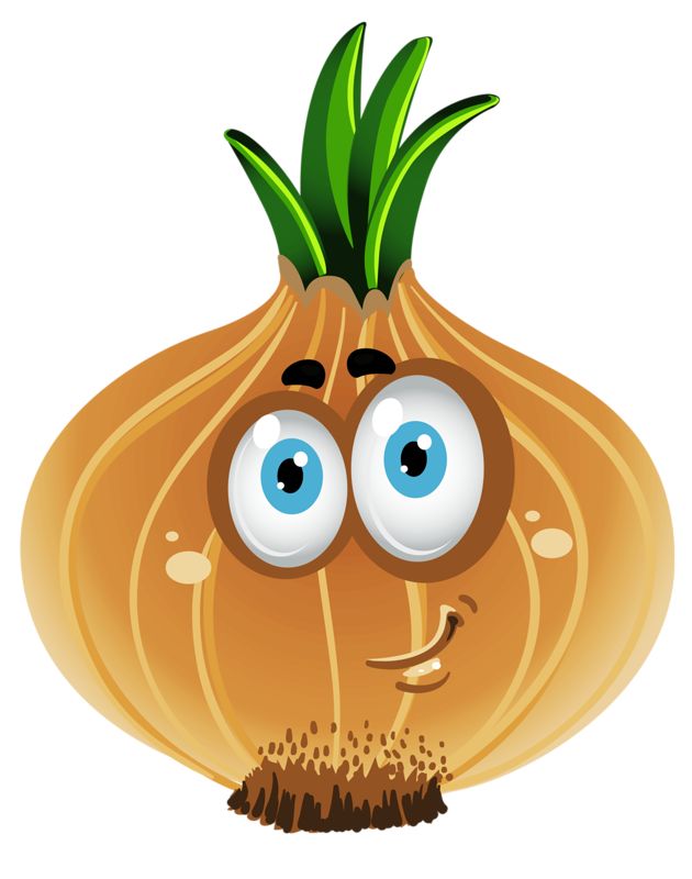 630x800 Fruits Amp Vegetables Clipart Onion