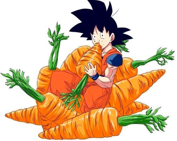 564x449 The Saiyan Race The Vegetables Anime Amino