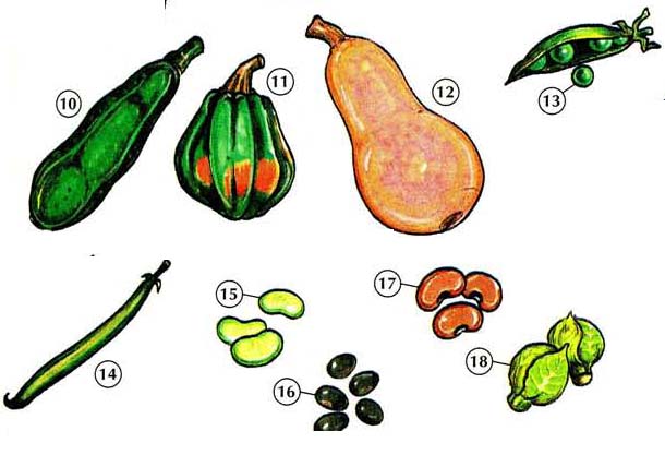610x417 Vegetables