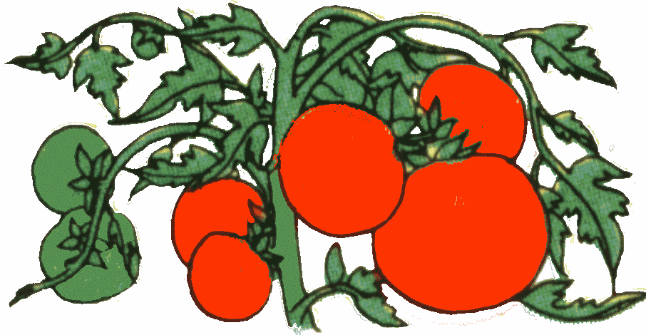 906x470 Arthur's Free Color Vegetable Clip Art Page 1