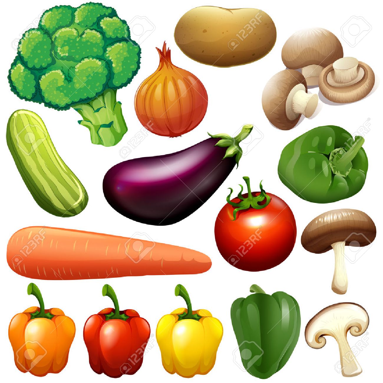 1300x1300 Different Kind Of Fresh Vegetables Illustration Royalty Free
