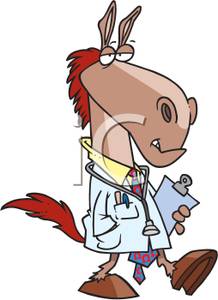 218x300 Image A Horse Veterinarian