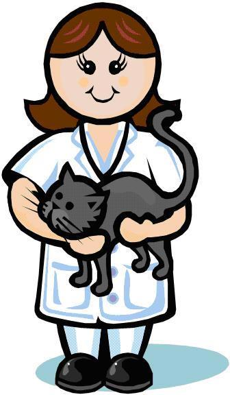 336x576 Feline Clipart Veterinarian