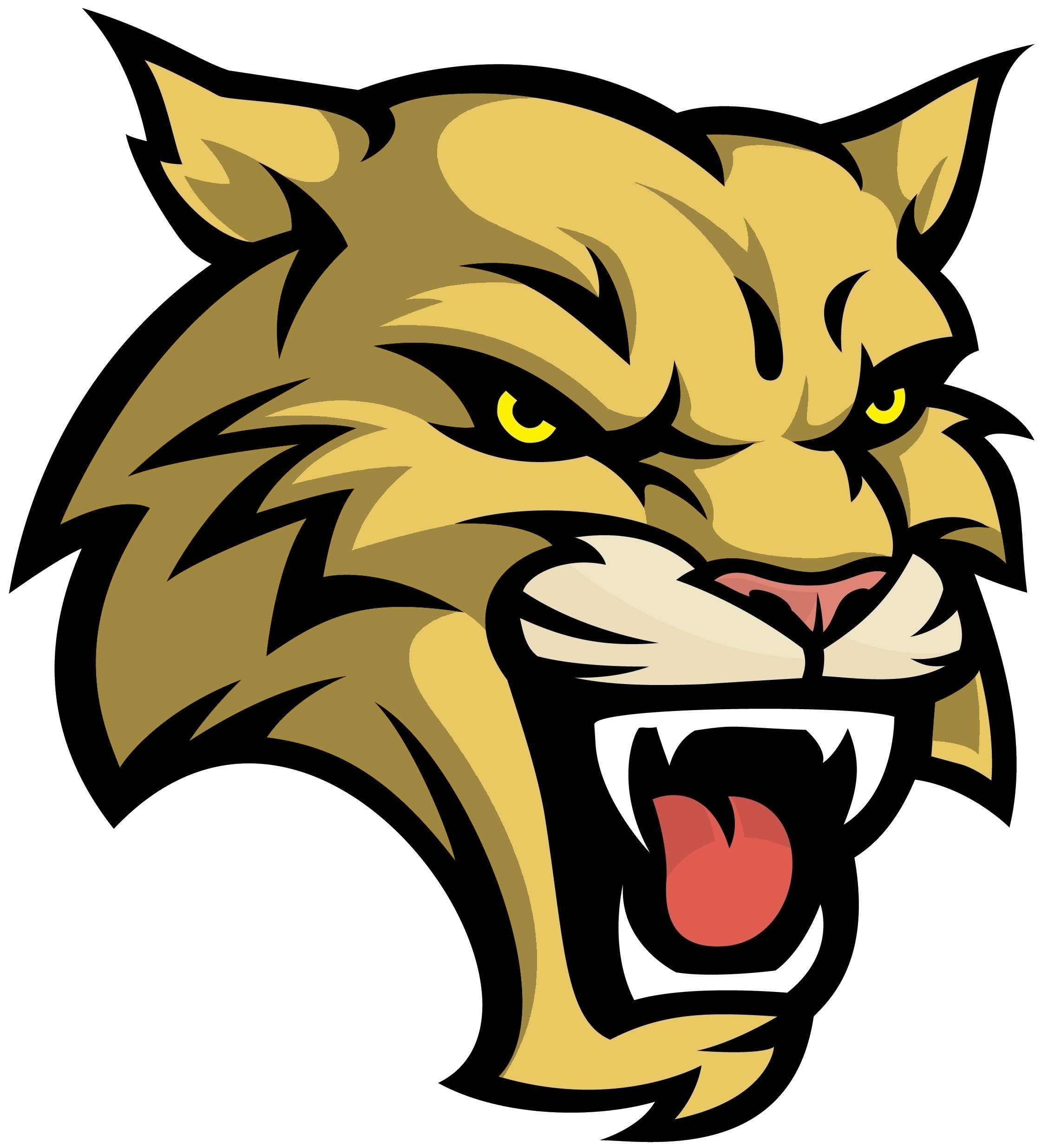 2256x2472 Logo Clipart Wildcat