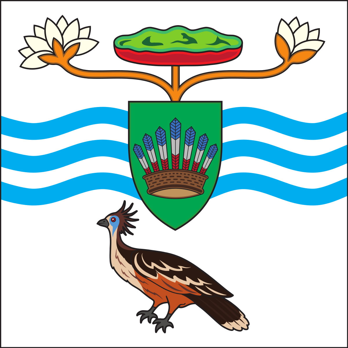 1200x1200 President Of Guyana