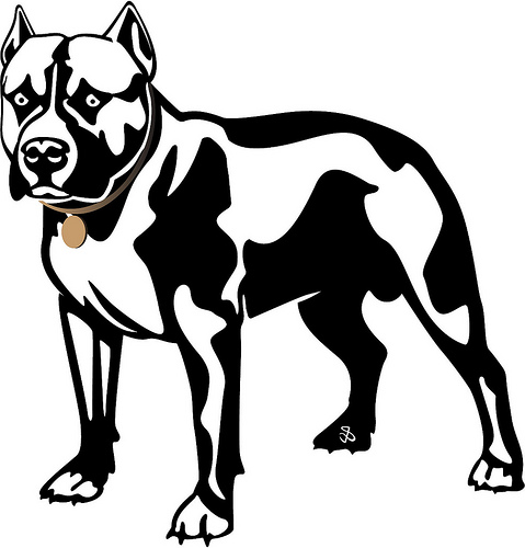479x500 Pitbull Dog Clipart