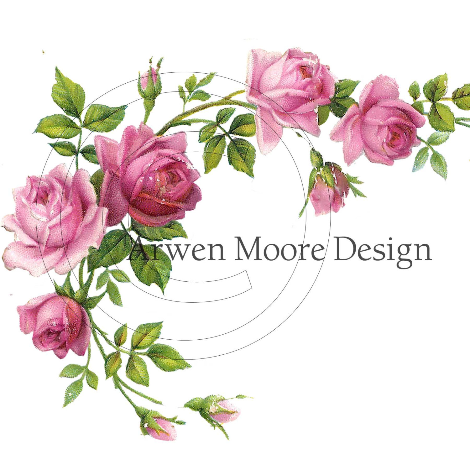 1500x1500 Beautiful Victorian Vintage Chic Shabby Pink Rose Border Corner